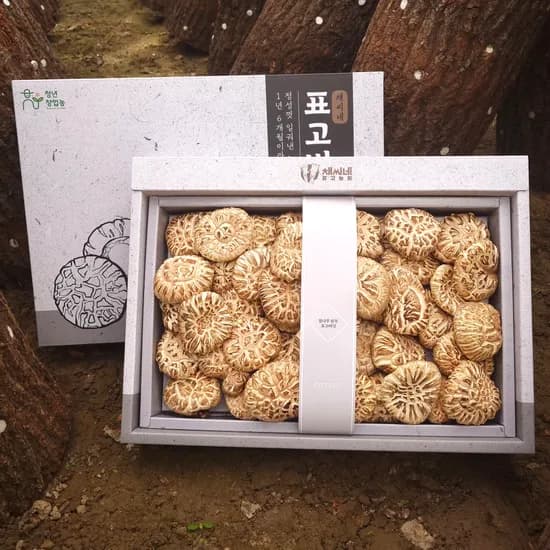 표고버섯 선물세트 백화고 500g 1세트