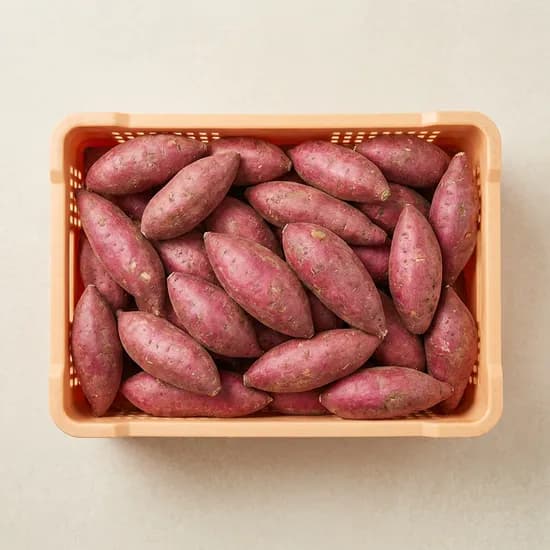 여주 햇 꿀밤고구마 특상 3kg 1박스