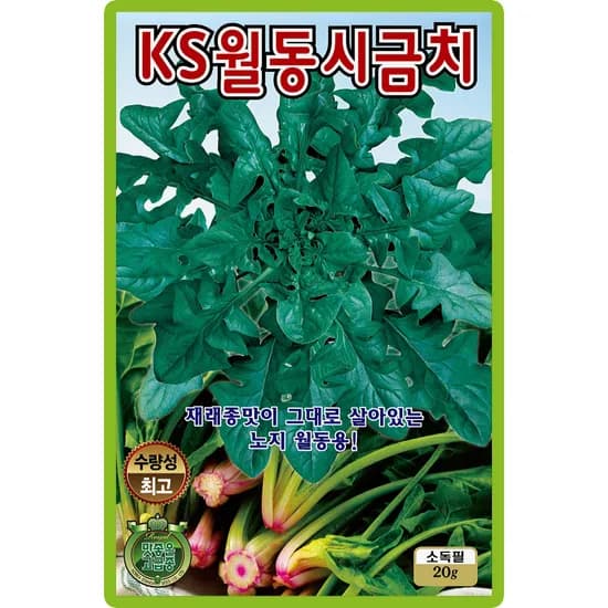 KS종묘 월동시금치 씨앗 20g 2개