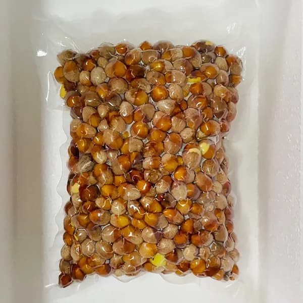 보령은행마을 깐은행 1kg