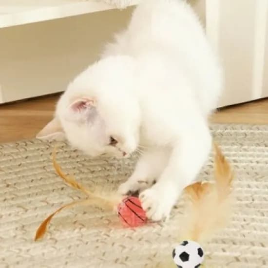 고양이 탱탱볼 깃털 장난감, 스포츠탱탱볼, 3개입, 1세트