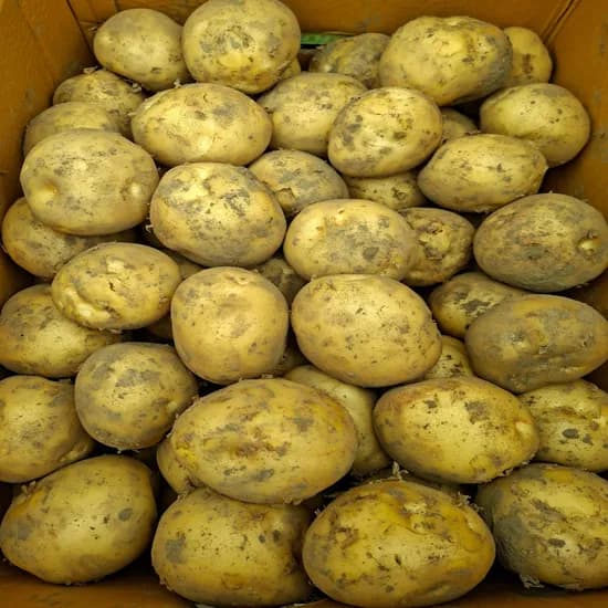 국내산 햇감자, 특, 5kg, 1박스
