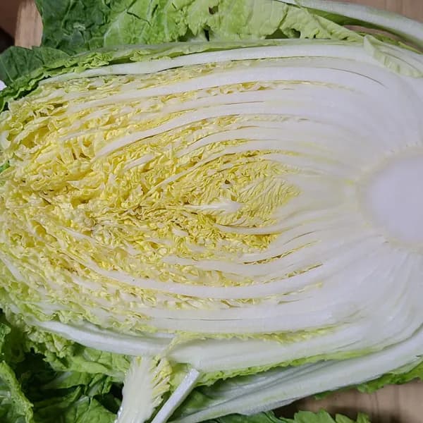 좋은야채 국내산 손질 배추 2kg