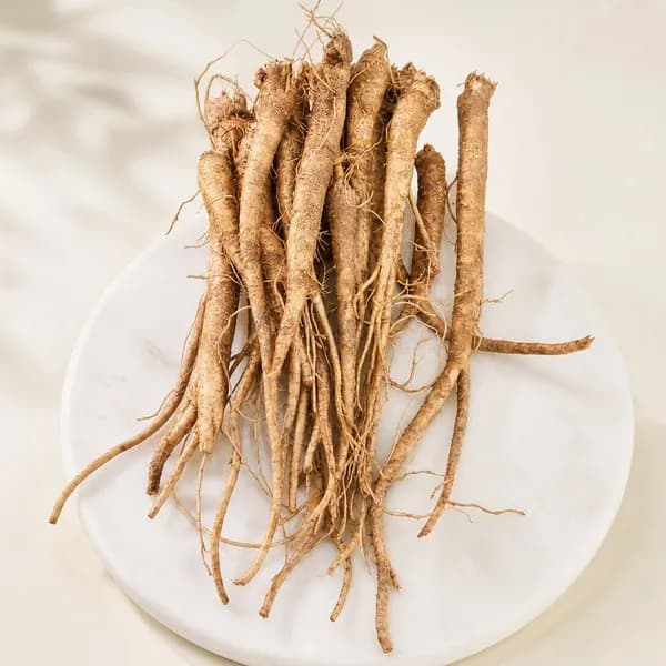 대끼리네 영주 3년근 흙도라지 중약 산지직송 1kg 1박스