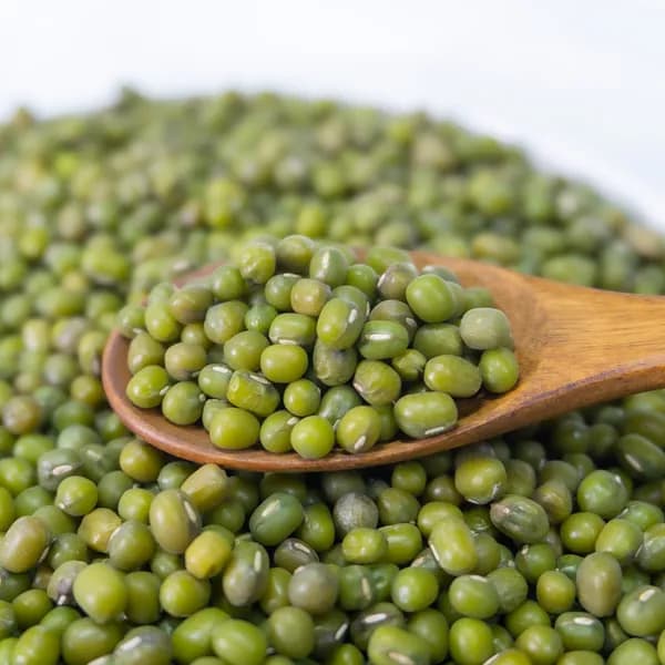 힘찬농부오달봉 수입 녹두 500g