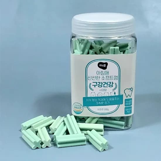 아침애 신선한 가수분해 소프트껌, 구강건강, 300g, 1개