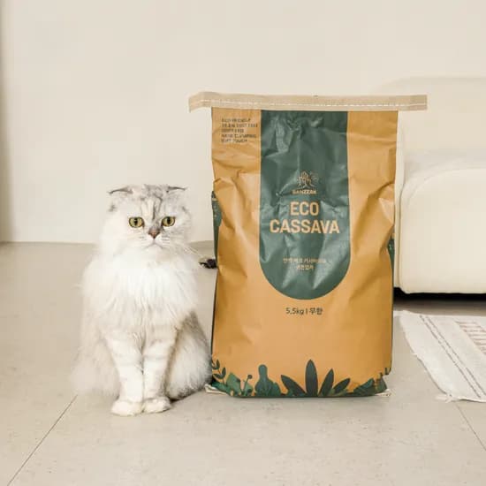 반짝 에코 카사바 모래, 무향, 5.5kg, 2개, 1세트