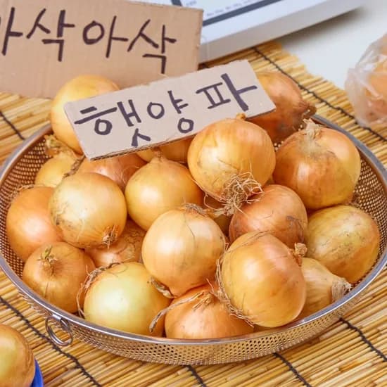 국내산 햇양파 중 10kg 1개