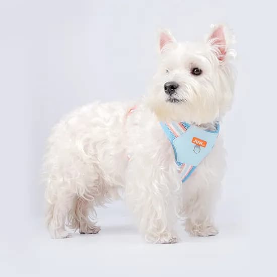 JUN PET 솜사탕 메쉬 하네스, 라벤더, M, 1개