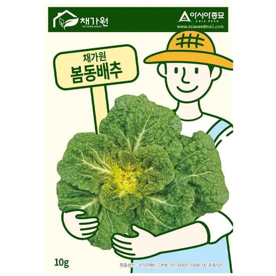 아시아종묘 봄동 배추 1개