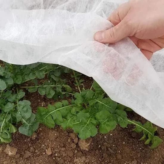 농업용 부직포, 50g
