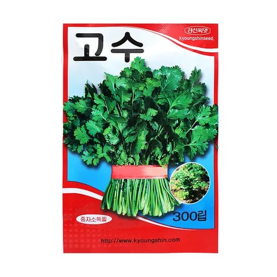 경신종묘 고수 씨앗 300립 1개