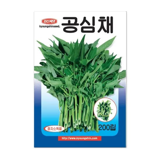 경신종묘 공심채 씨앗, 200립, 1개