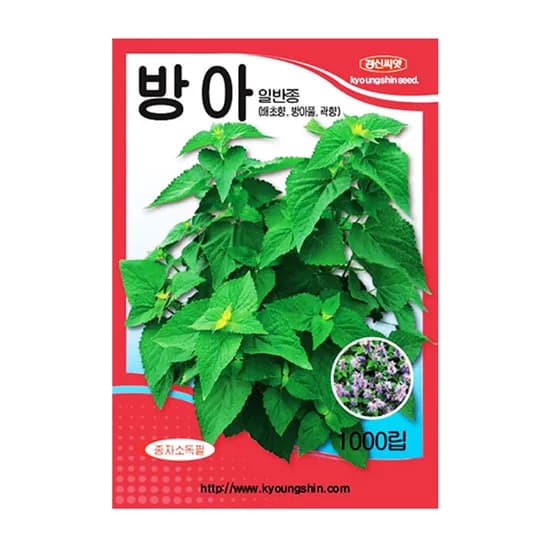 경신종묘 방아 배초향 씨앗 1000립 1개