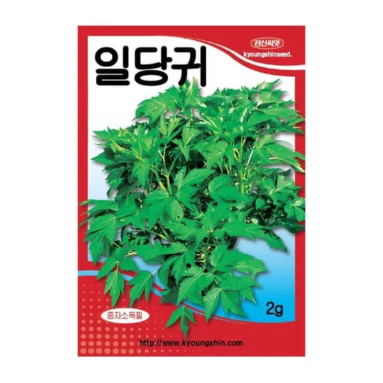 경신종묘 일당귀, 2g, 1개
