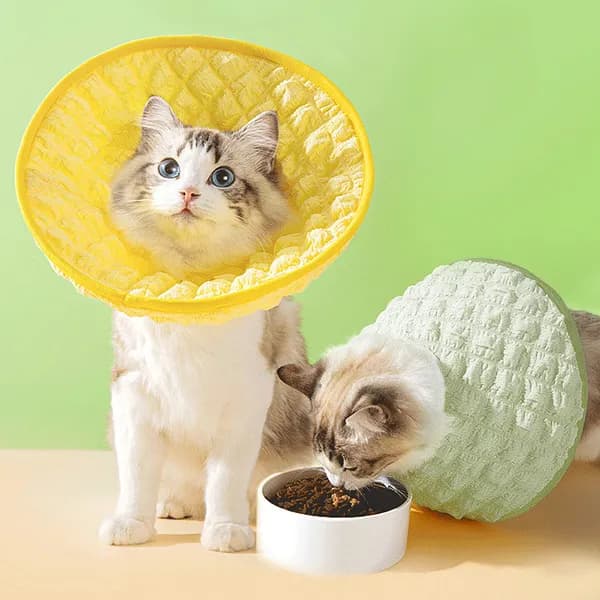 강아지 고양이 여름 넥카라 옐로우 L 1개