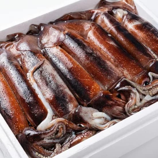 국내산 급냉 선동 초코오징어 1kg 1개