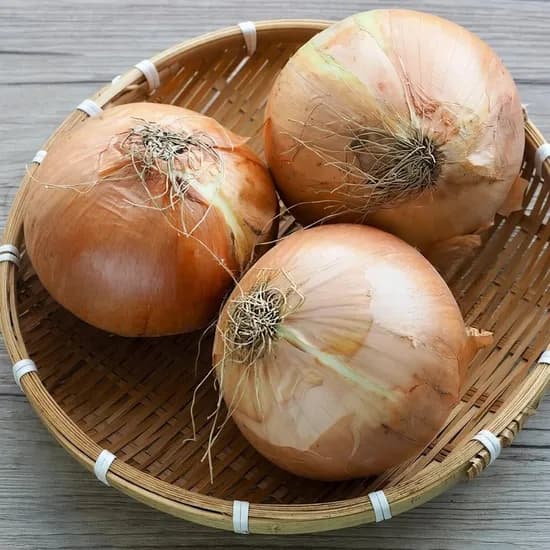 국내산 경북의성 햇양파, 소, 5kg, 1박스