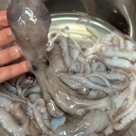 선상 급냉 낙지 6미 950g 1kg 내외 1팩