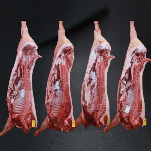 그린푸드시스템 냄새 없는 염소고기 반마리 7kg 1개