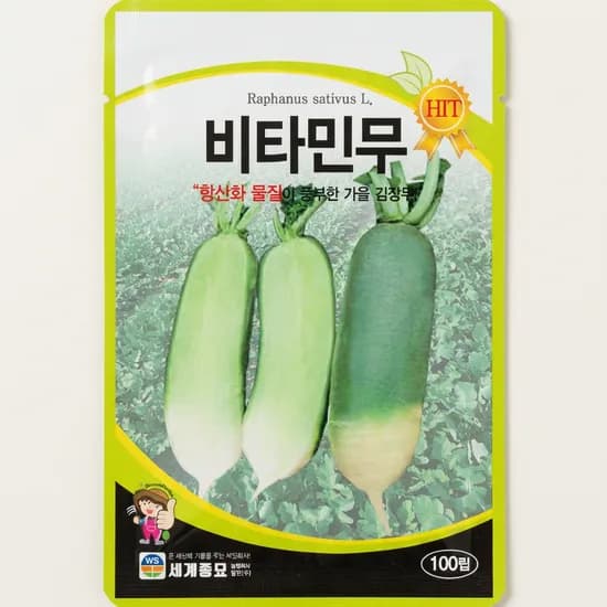세계종묘 비타민무 100립 1개