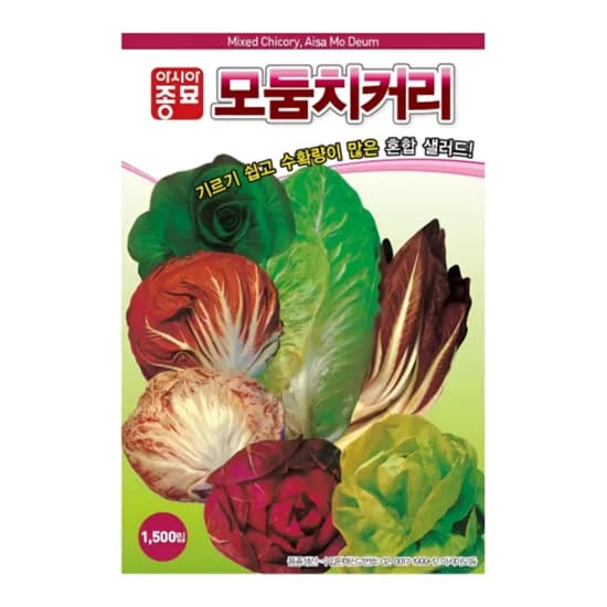 아시아종묘 모둠치커리 1500립 1개