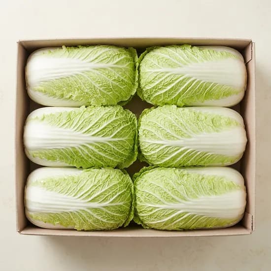 대감댁 알배기배추 2통 1.5kg 1봉 13,900원