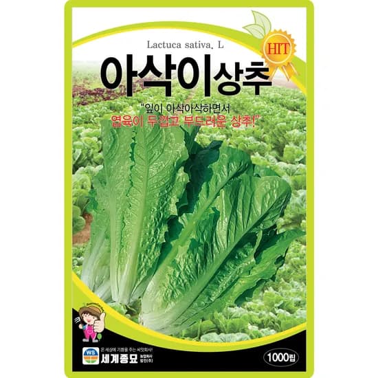 세계종묘 아삭이상추, 1000립, 1개