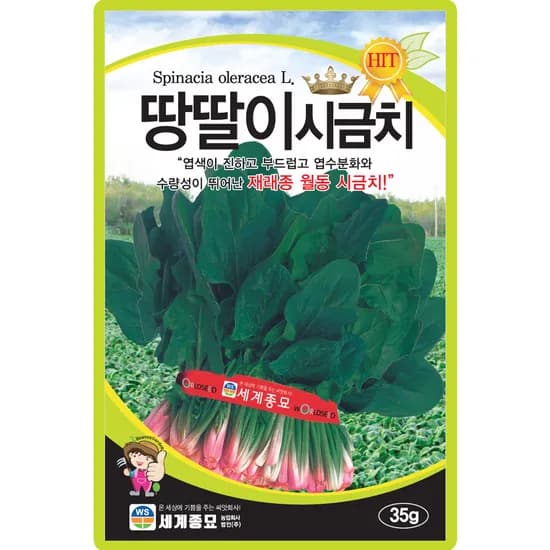 세계종묘 땅딸이시금치, 35g, 1개