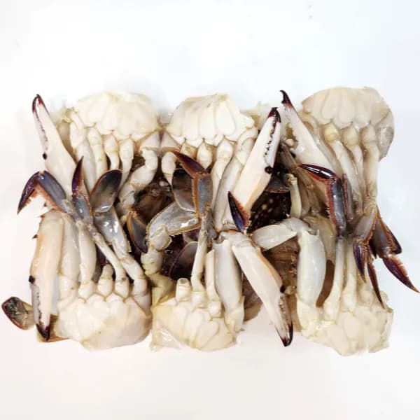 수산잇츠 냉동 절단꽃게 특대 2L 450g 5개 17,028원