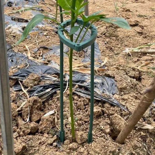 조립형 식물지지대 25cm 4P 식물고정대 화분지지대