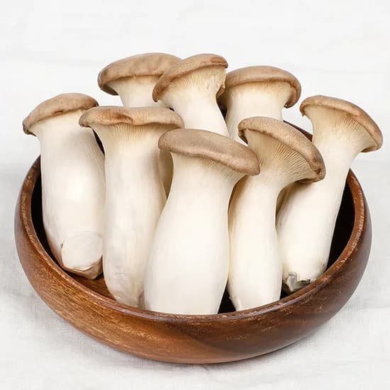 국내산 무농약 새송이버섯 미니 1kg 1개