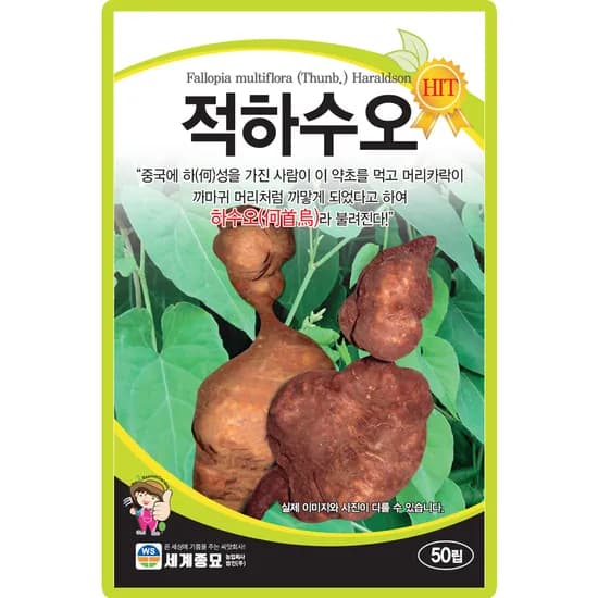 세계종묘 적하수오 씨앗, 50립, 1개
