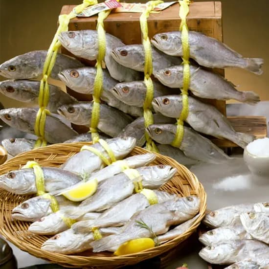 서상인 장인 영광 법성포 민어 굴비 220g 11마리 1개