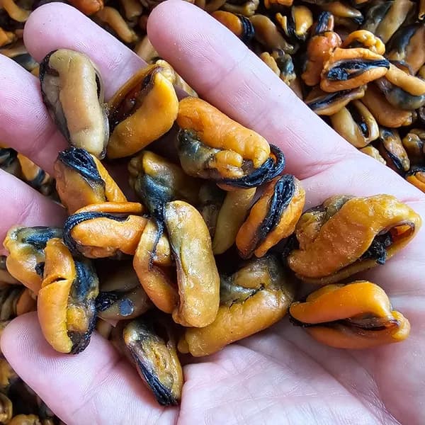 남해 반건조홍합 500g 1팩 20,482원