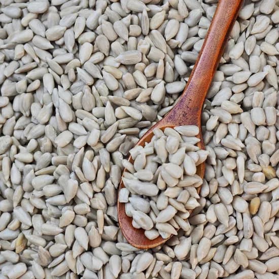 햇 해바라기씨 500g 1봉
