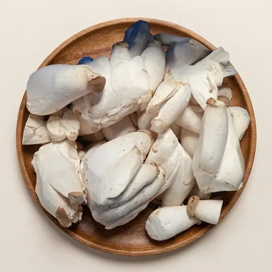 함평 무농약 새송이버섯 1kg 1개