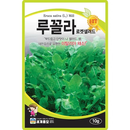 세계종묘 루꼴라 로켓샐러드, 10g, 1개