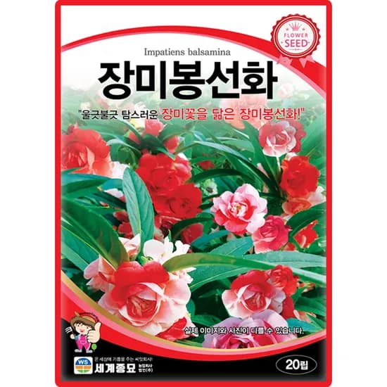 세계종묘 장미봉선화, 20립, 1개