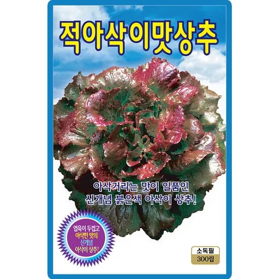 KS종묘 적아삭이맛상추 300립 1개