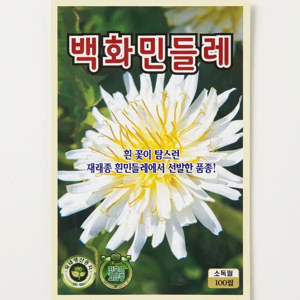 백화민들레 씨앗 100립 1개 5,400원