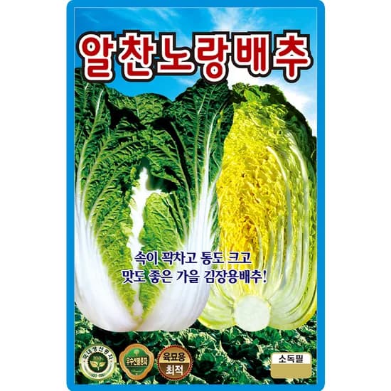 KS종묘 알찬노랑배추, 500립, 1개