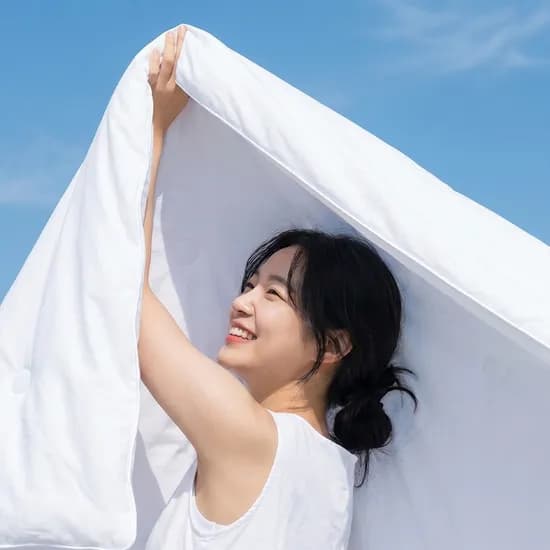 디센느 듀라맥스 에어 냉감 이불, 그레이, 퀸, 1개