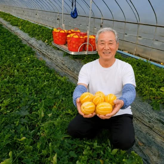 엄마들푸드 성주꿀참외 못난이 가정용 참외 랜덤과 10kg