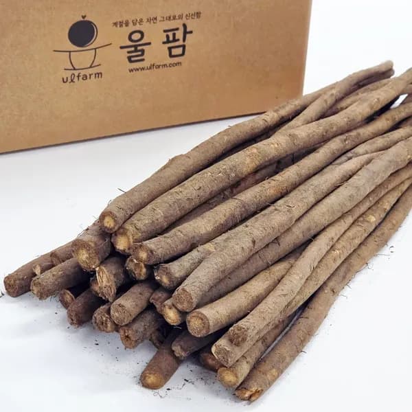 울팜 국내산 생우엉 4kg 1개
