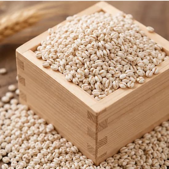 새마을농산 국산 햇 찰보리 500g 1봉