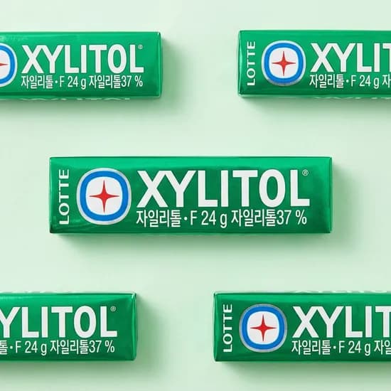 롯데제과 자일리톨 껌 24g 30개