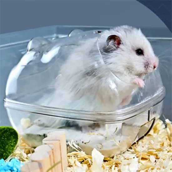 까미와사과 햄스터 투명 플라스틱 케이지 대 1개