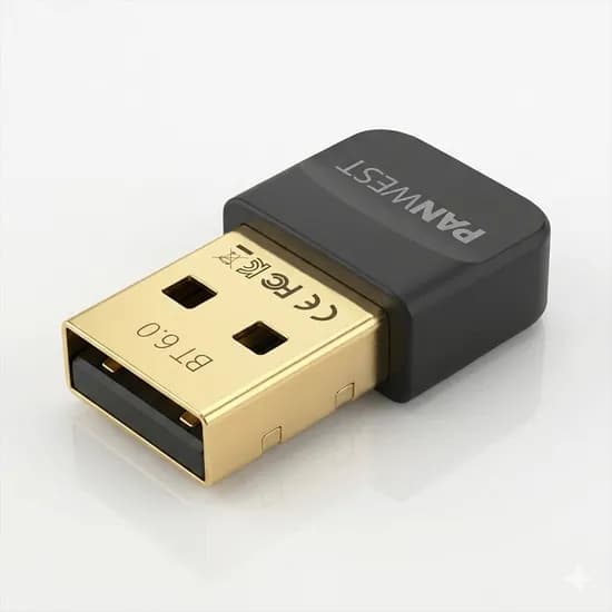 PANWEST 블루투스 6.0 동글, PAN-BT60, 블랙, 1개