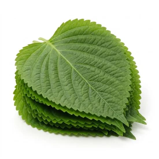 국내산 깻잎 1kg 1박스